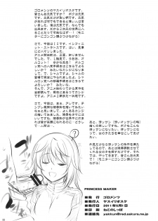 (COMIC1☆5) [Goromenz (Yasui Riosuke)] PRINCESS MAKER (Infinite Stratos) [Korean] - page 21