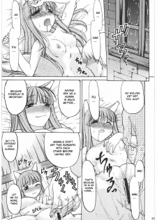 (C76) [Kacchuu Musume (Hisahiko, Shimamoto Harumi)] Smalt Leather (Spice and Wolf) [English] [desudesu] - page 14