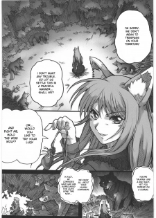 (C76) [Kacchuu Musume (Hisahiko, Shimamoto Harumi)] Smalt Leather (Spice and Wolf) [English] [desudesu] - page 28