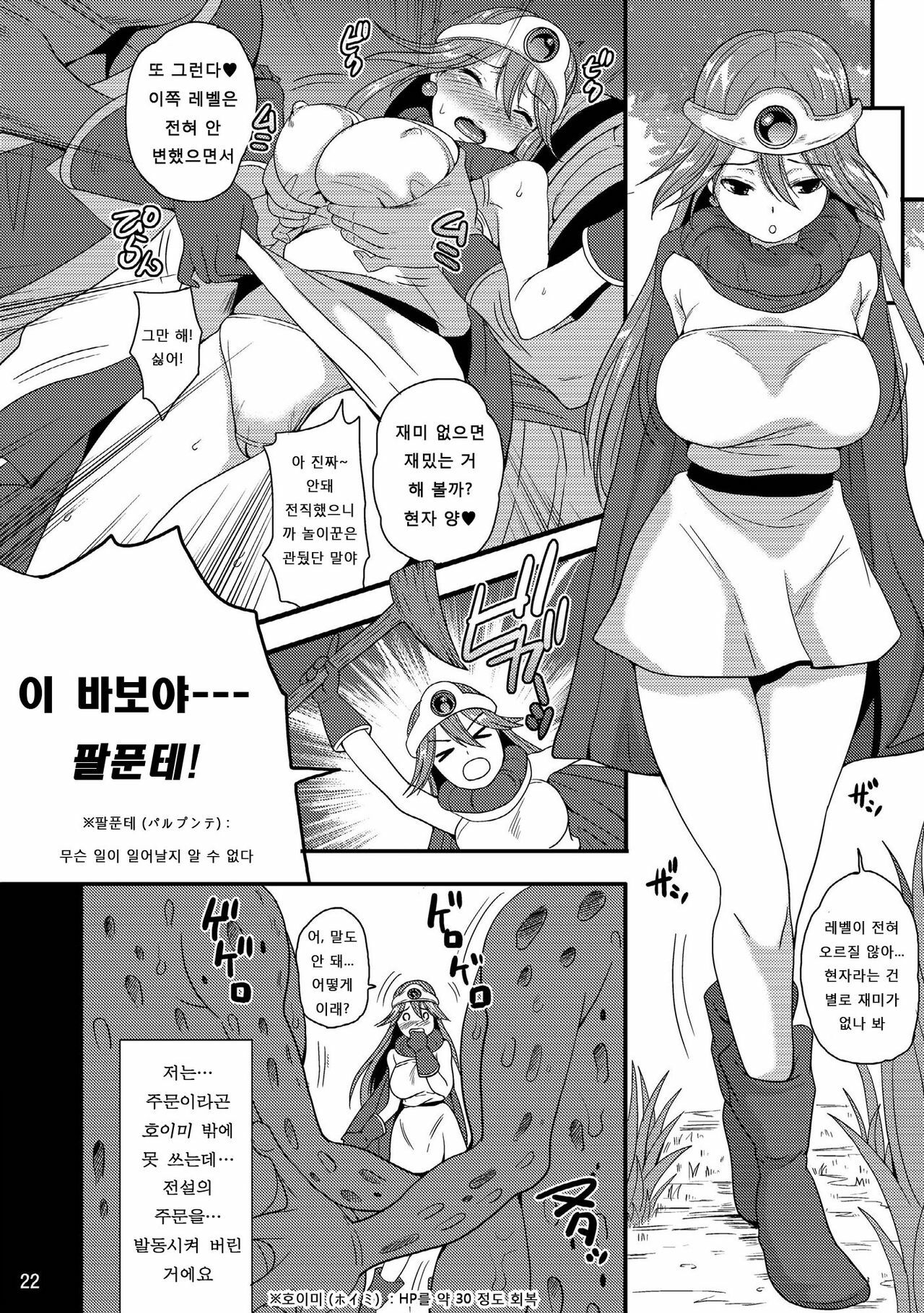 (C79) [Momoiro Rip (Sugar Milk)] DSM (Digital) (Dragon Quest III) (Korean) page 22 full