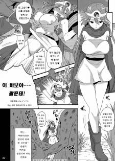 (C79) [Momoiro Rip (Sugar Milk)] DSM (Digital) (Dragon Quest III) (Korean) - page 22