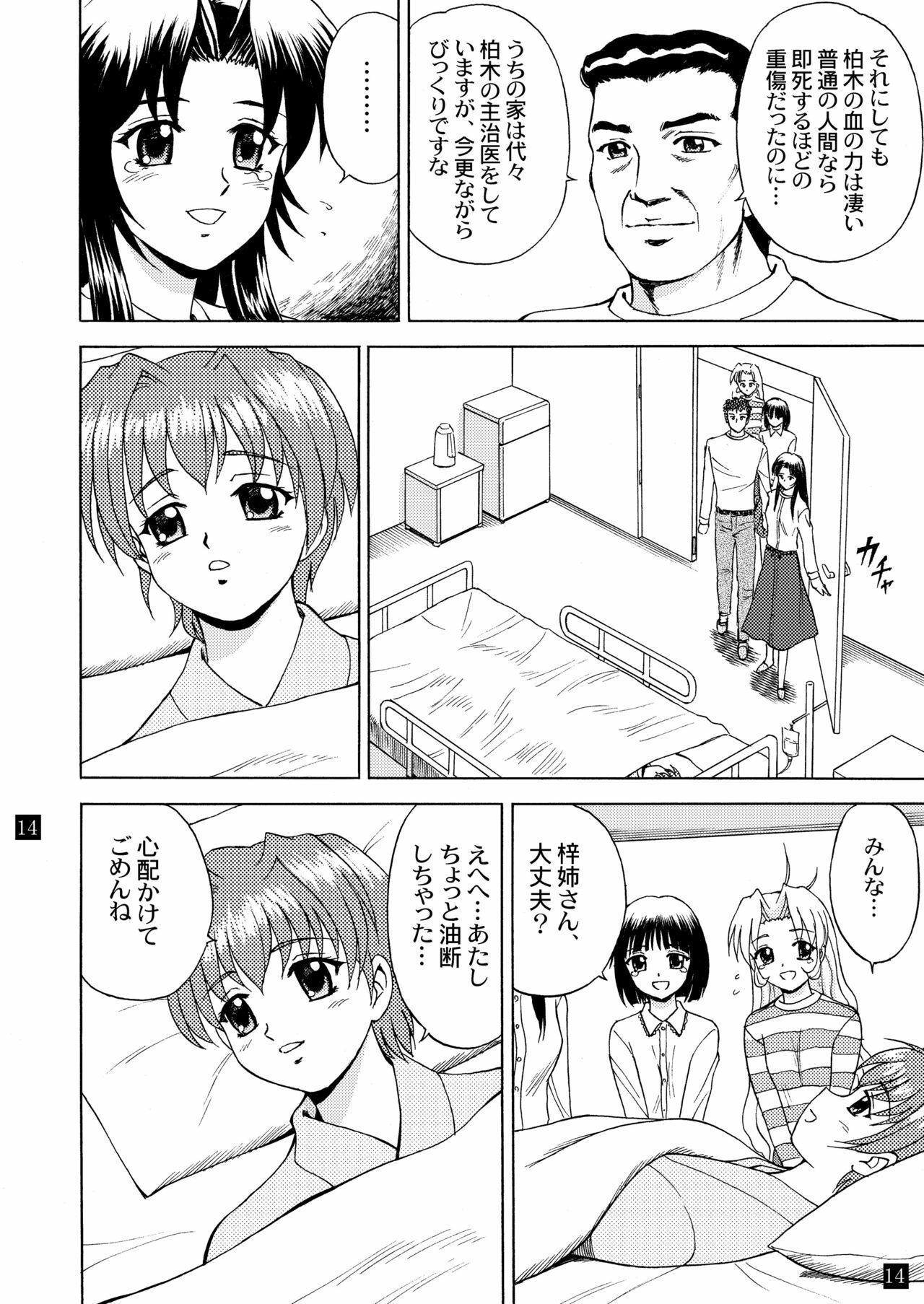 (C65) [YASRIN-DO (Yasu Rintarou)] Gekkouki Daiyonya (Tsukihime, Kizuato) page 17 full