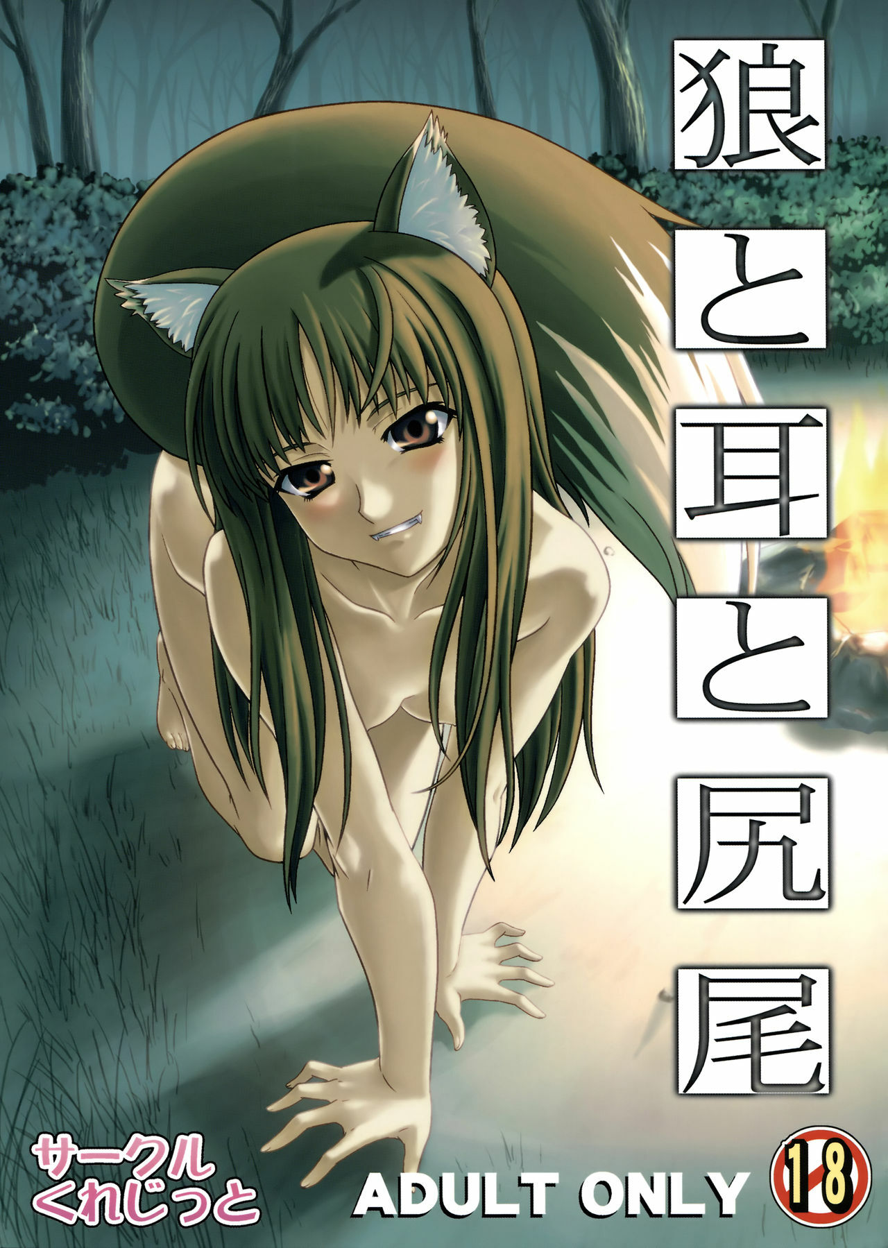 [Circle Credit (Benjamin, Akikan, Muichimon, NAL)] Ookami to Mimi to Shippo (Spice and Wolf) page 1 full