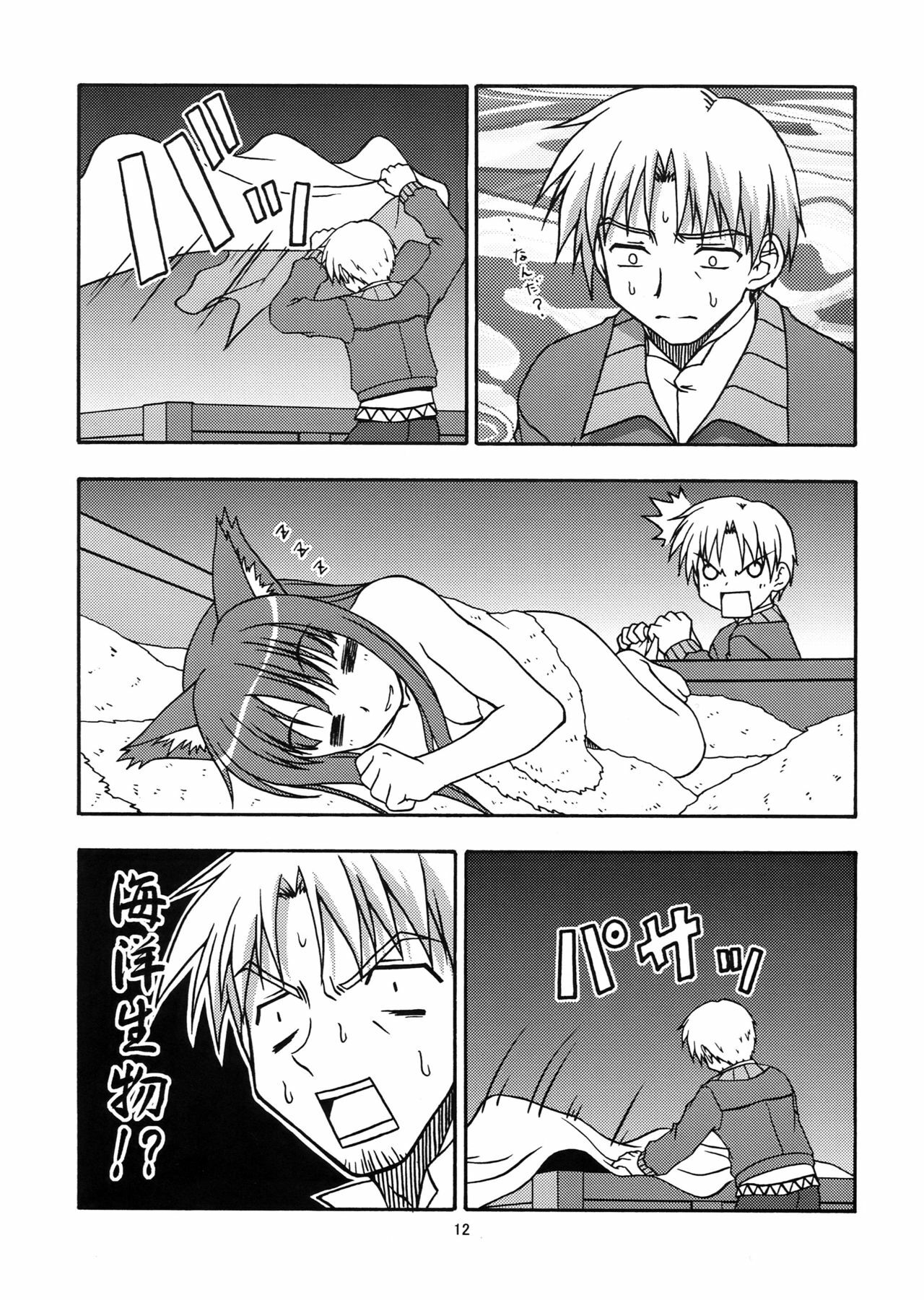 [Circle Credit (Benjamin, Akikan, Muichimon, NAL)] Ookami to Mimi to Shippo (Spice and Wolf) page 11 full