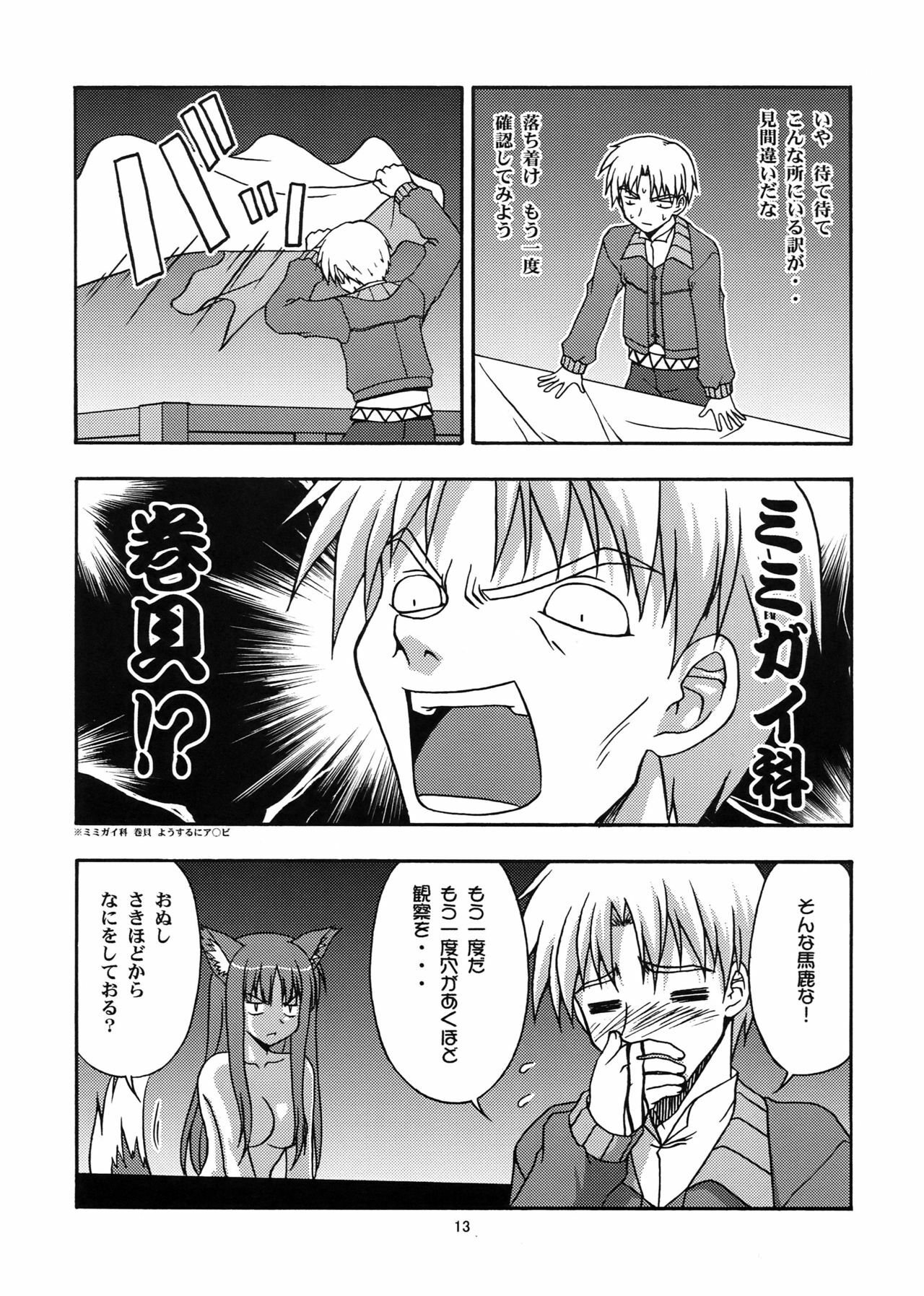 [Circle Credit (Benjamin, Akikan, Muichimon, NAL)] Ookami to Mimi to Shippo (Spice and Wolf) page 12 full