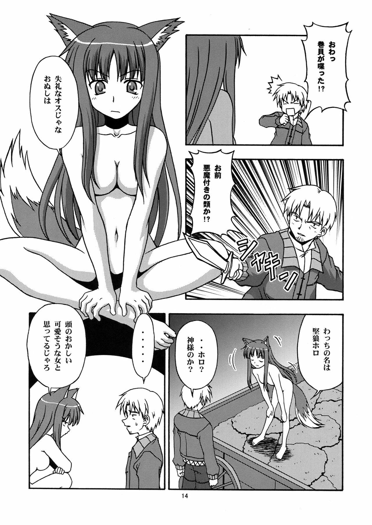 [Circle Credit (Benjamin, Akikan, Muichimon, NAL)] Ookami to Mimi to Shippo (Spice and Wolf) page 13 full