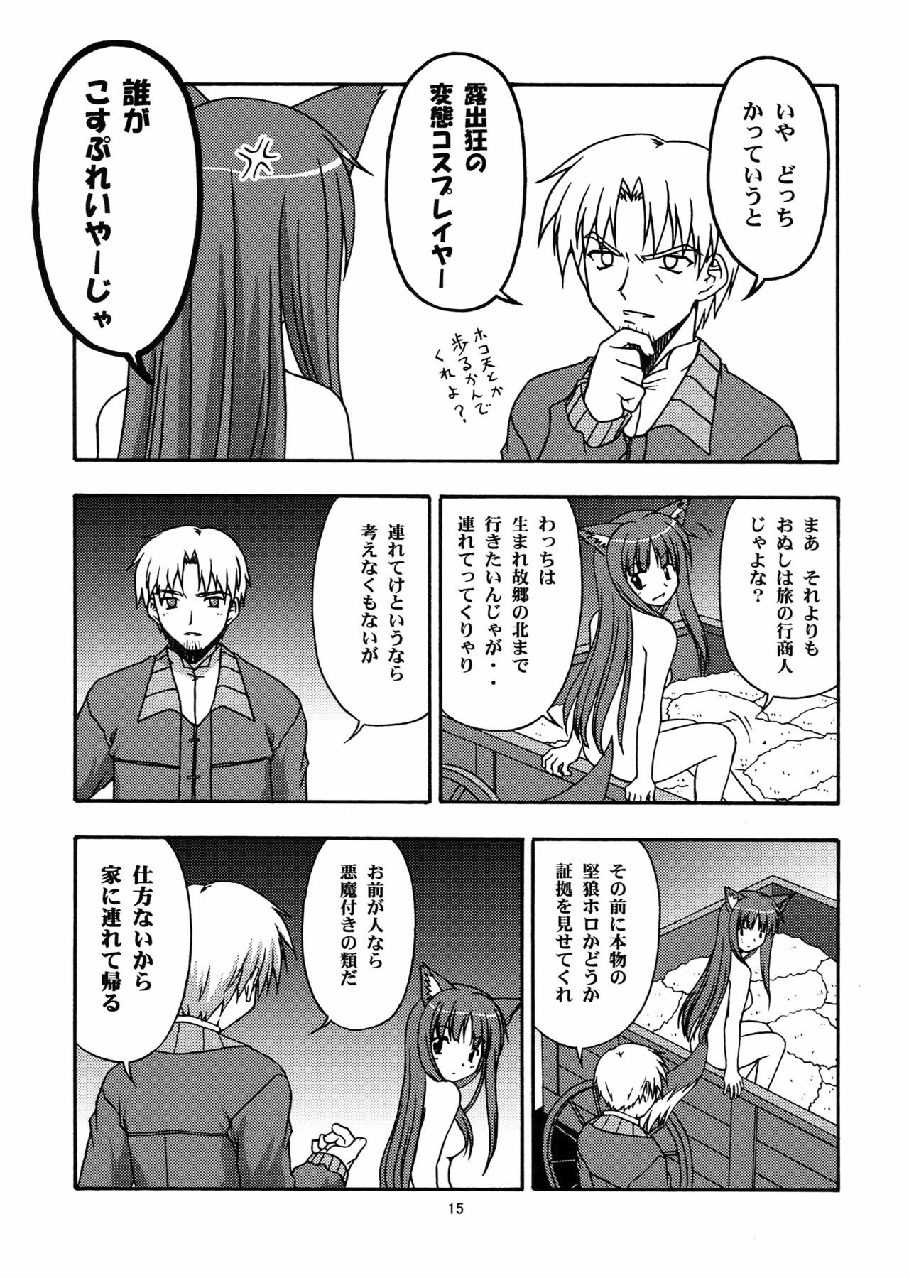 [Circle Credit (Benjamin, Akikan, Muichimon, NAL)] Ookami to Mimi to Shippo (Spice and Wolf) page 14 full