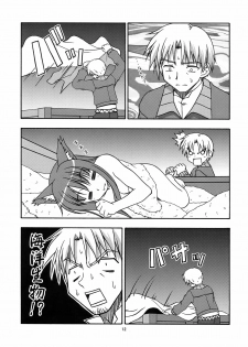 [Circle Credit (Benjamin, Akikan, Muichimon, NAL)] Ookami to Mimi to Shippo (Spice and Wolf) - page 11