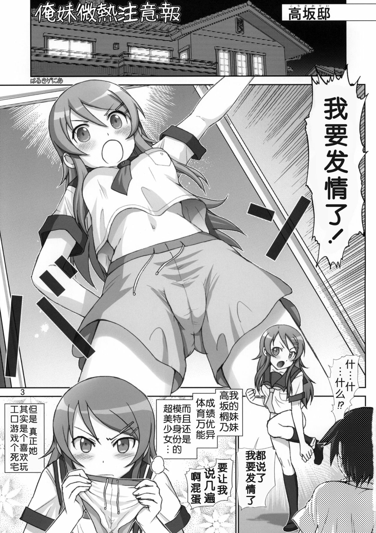 (Tora Matsuri 2010) [Raijinkai (Haruki Genia)] Oreimo Binetsu Tyuihou 1 (Ore no Imouto ga Konna ni Kawaii Wake ga Nai) [Chinese] [冬乳汉化组] page 2 full