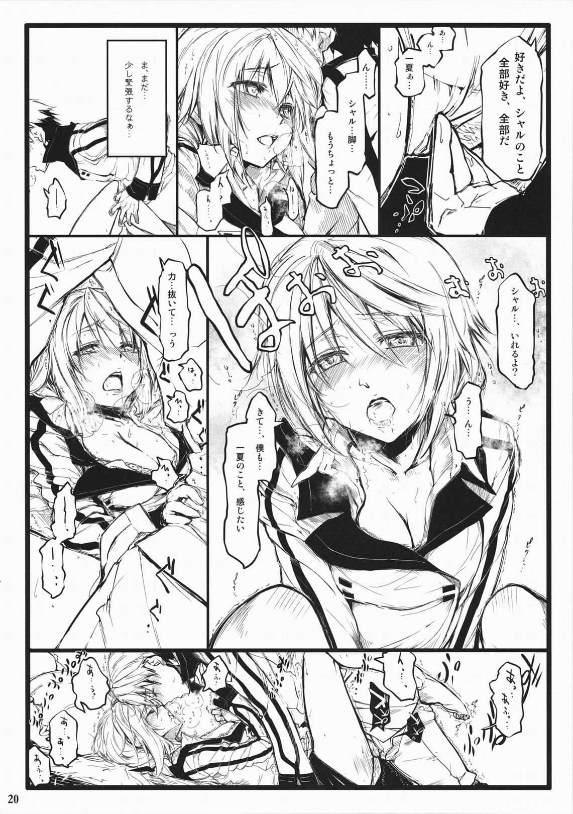 (COMIC1☆5) [Neko-bus Tei, Studio TRC, Black Shadow] OH!MY PIGS (Infinite Stratos) page 20 full