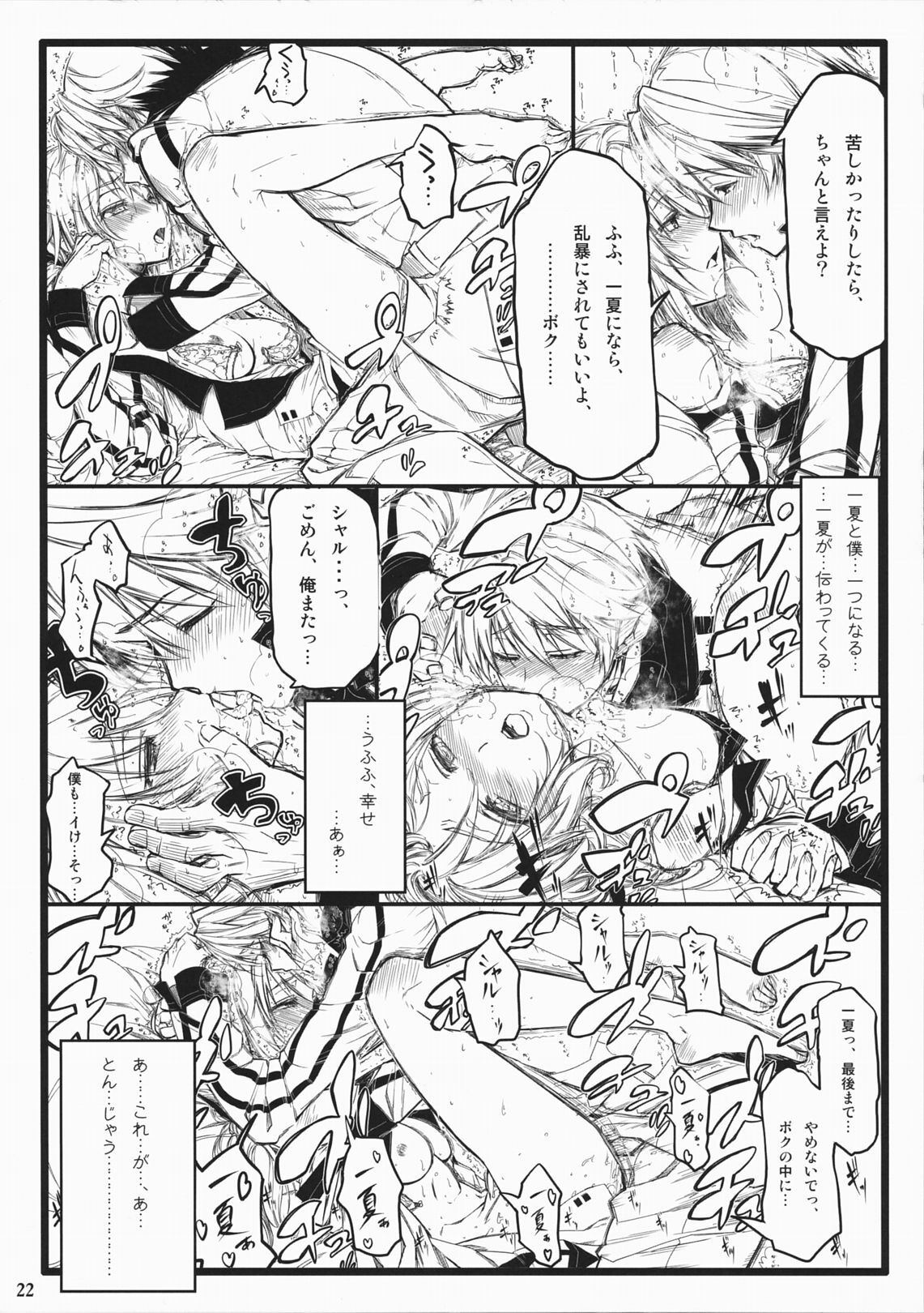 (COMIC1☆5) [Neko-bus Tei, Studio TRC, Black Shadow] OH!MY PIGS (Infinite Stratos) page 22 full