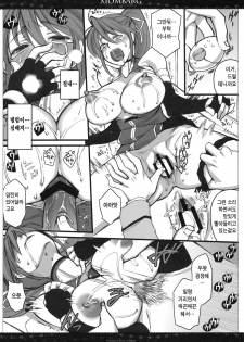 (SC50) [VM500 (Kome)] Xiombarg (Mahou Shoujo Lyrical Nanoha StrikerS) [Korean] [Team H] - page 9