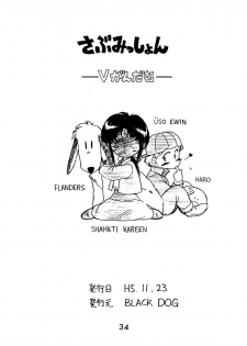 [BLACK DOG (Kuroinu Juu)] Echoes (Various) [1997-03-20] - page 33