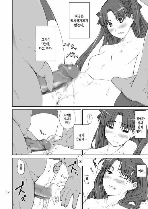 (C70) [MTSP (Jin)] Tohsaka-ke no Kakei Jijou | 토오사카 가의 가계사정 (Fate/stay night) [Korean] [중심구멍] page 11 full