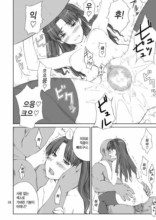 (C70) [MTSP (Jin)] Tohsaka-ke no Kakei Jijou | 토오사카 가의 가계사정 (Fate/stay night) [Korean] [중심구멍] page 17 full