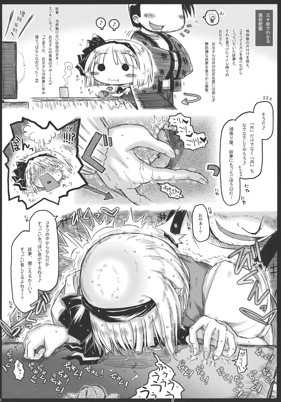 (Reitaisai 8) [Ankoku-Bousougumi (Ainu Mania)] Myon na Kayoizuma 3 - Joyful Entry (Touhou Project) page 12 full