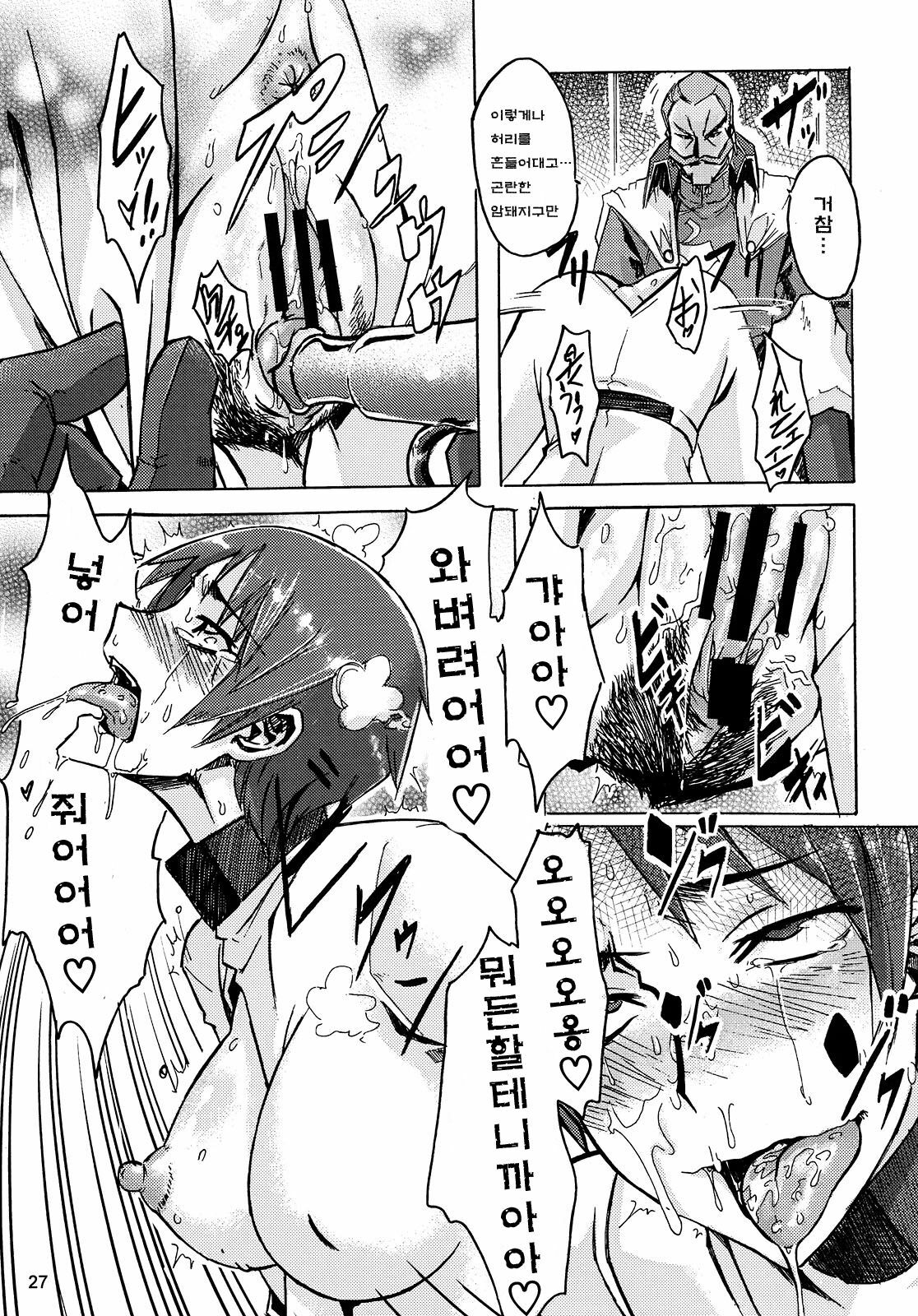 (C74) [Da Hootch (ShindoL)] Masaka no Chiba-san (Code Geass) [Korean] {Team Project H} page 27 full