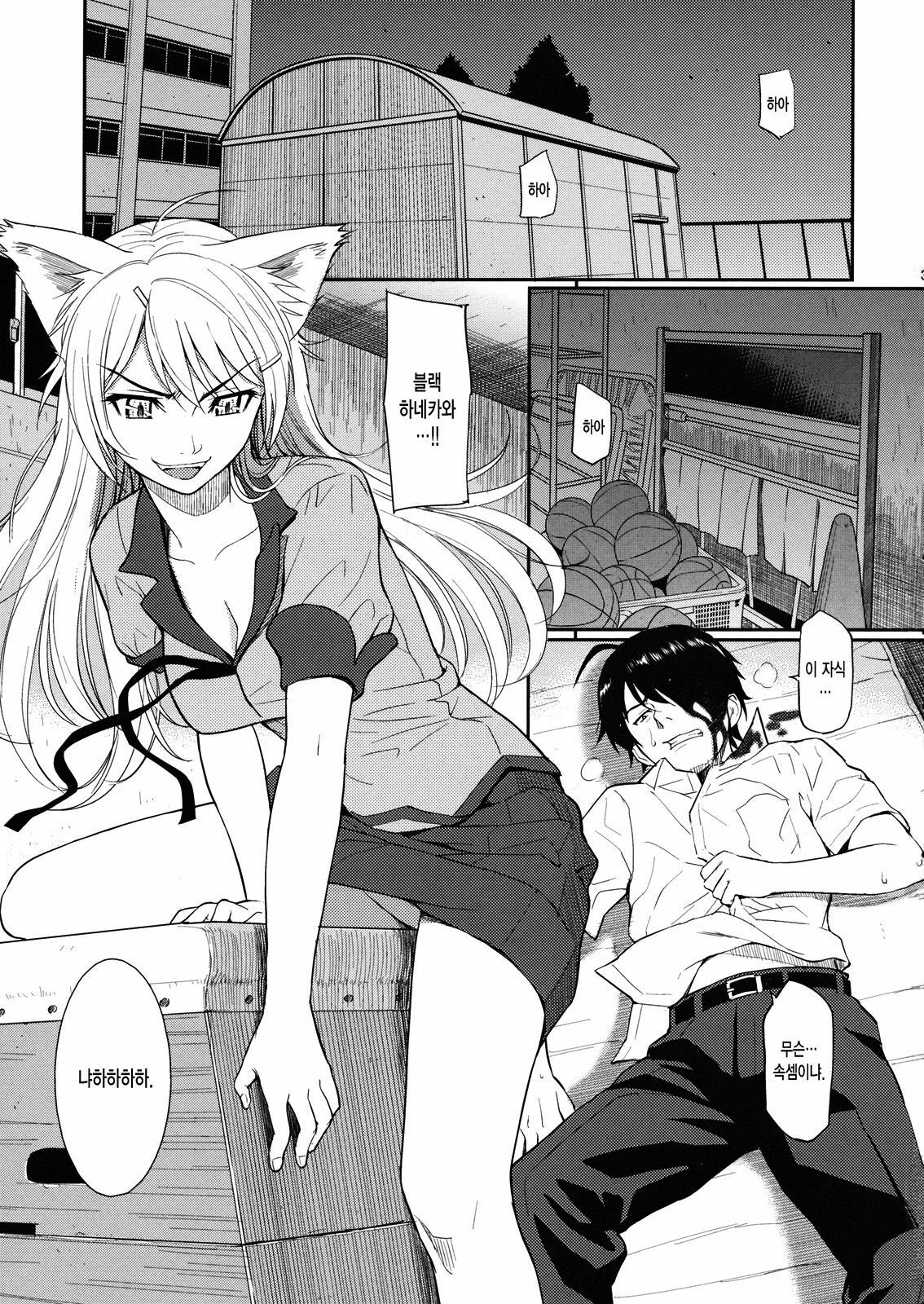 (C78) [Homunculus] Bakenekogatari (Bakemonogatari) [Korean] [Team H] page 2 full