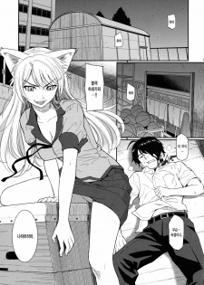 (C78) [Homunculus] Bakenekogatari (Bakemonogatari) [Korean] [Team H] - page 2