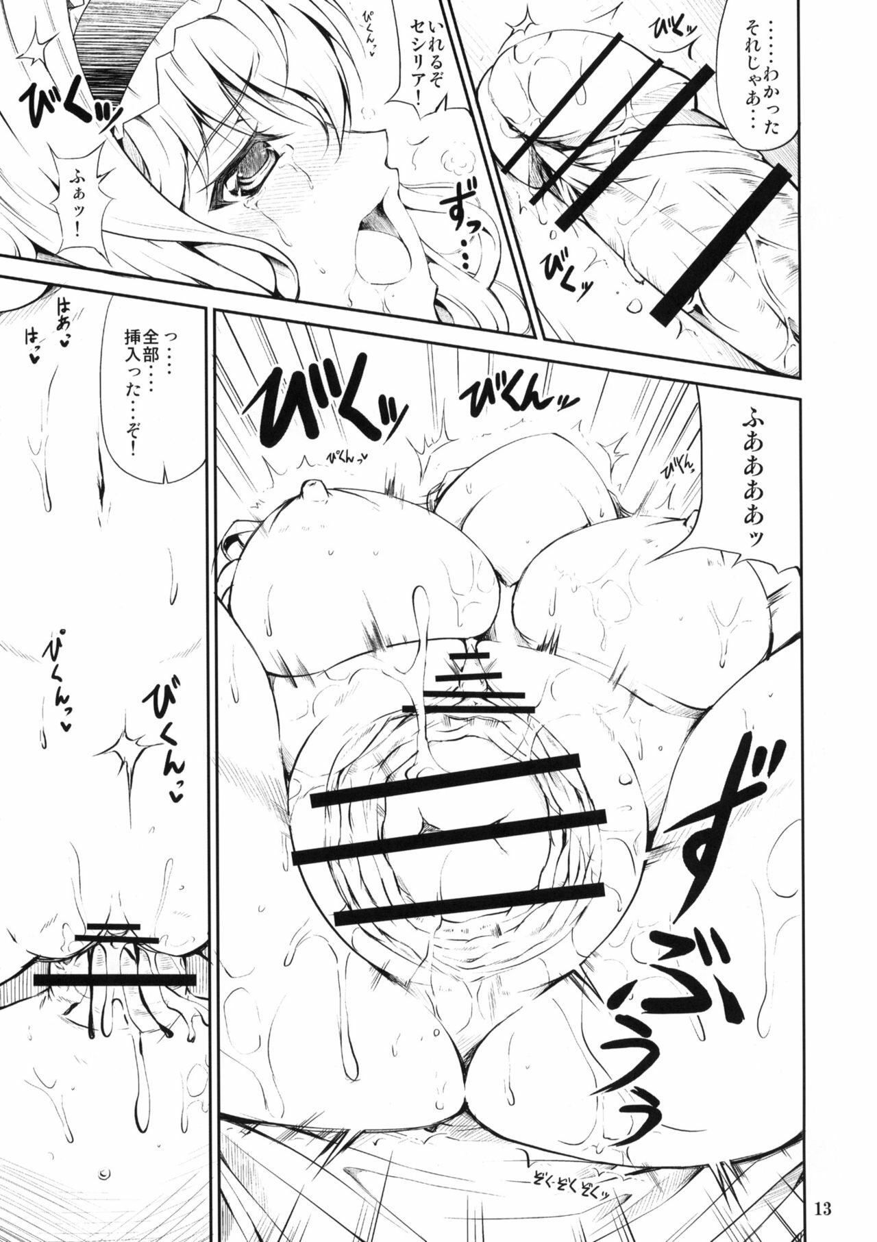 (SC51) [RED CROWN (Ishigami Kazui)] SE Cecilia to Ecchi na Koto Shitai!!! (IS ) page 11 full