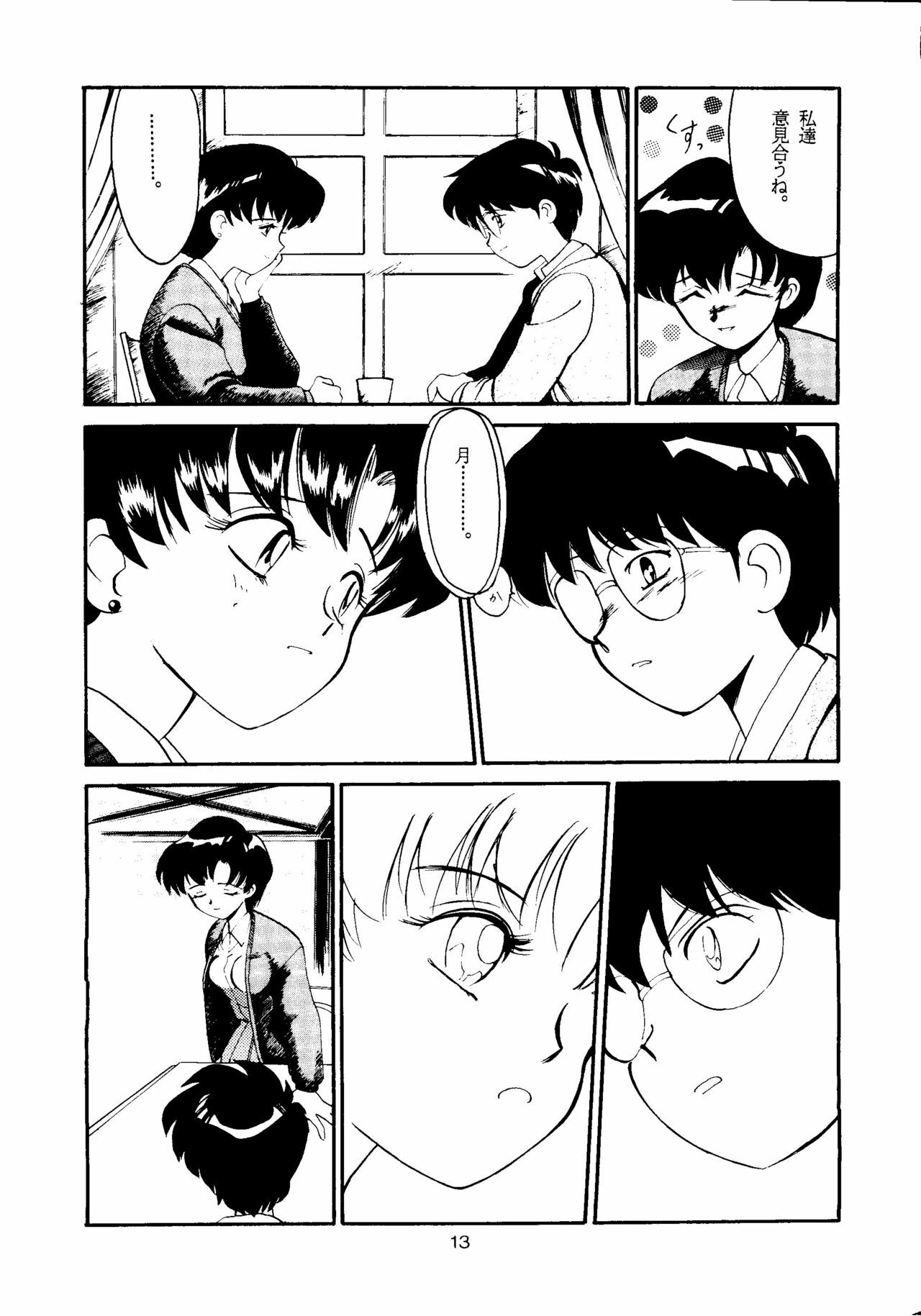 [T2 UNIT, RyuukiSya, Sakura ROC (Various)] LUNATIC ASYLUM (Sailor Moon) page 13 full