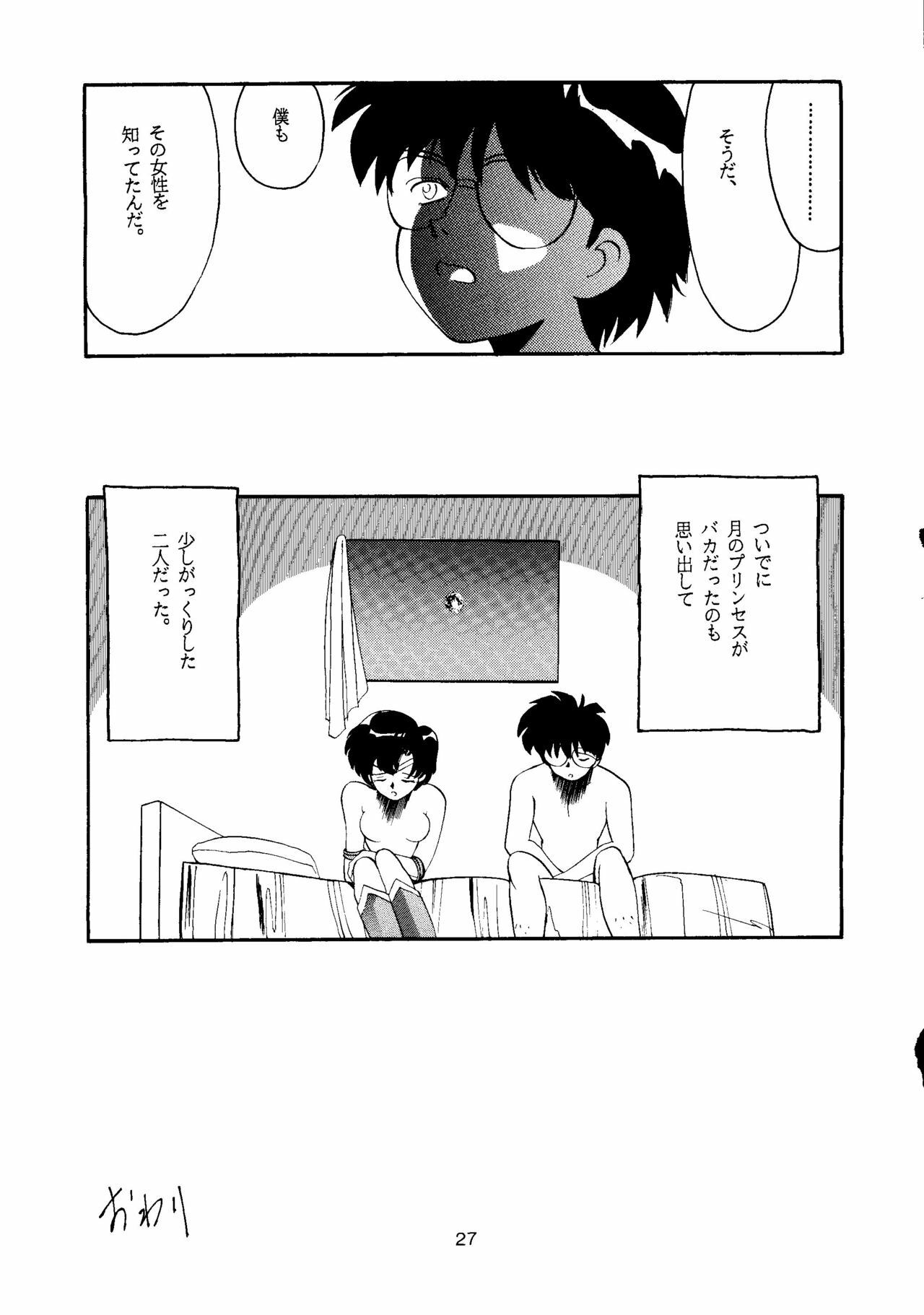 [T2 UNIT, RyuukiSya, Sakura ROC (Various)] LUNATIC ASYLUM (Sailor Moon) page 27 full