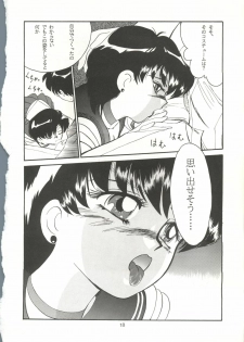 [T2 UNIT, RyuukiSya, Sakura ROC (Various)] LUNATIC ASYLUM (Sailor Moon) - page 18
