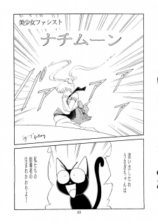 [T2 UNIT, RyuukiSya, Sakura ROC (Various)] LUNATIC ASYLUM (Sailor Moon) - page 33