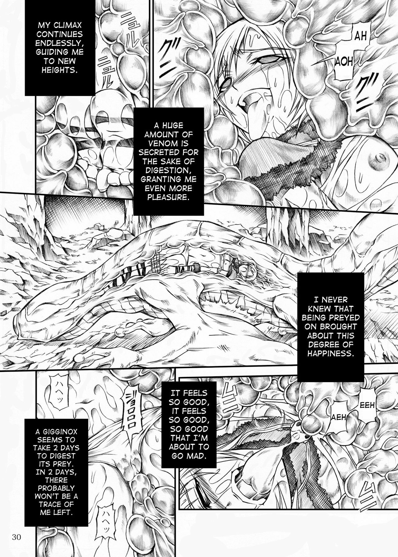 (C77) [Yokohama Junky (Makari Tohru)] Solo Hunter no Seitai (Monster Hunter) [English] [TheKa] page 30 full