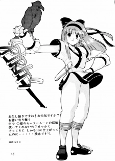 (C45) [Healthy Prime, Shishamo House (Minoda Kenichi)] Healthy Prime The Beginning (Bishoujo Senshi Sailor Moon) - page 28