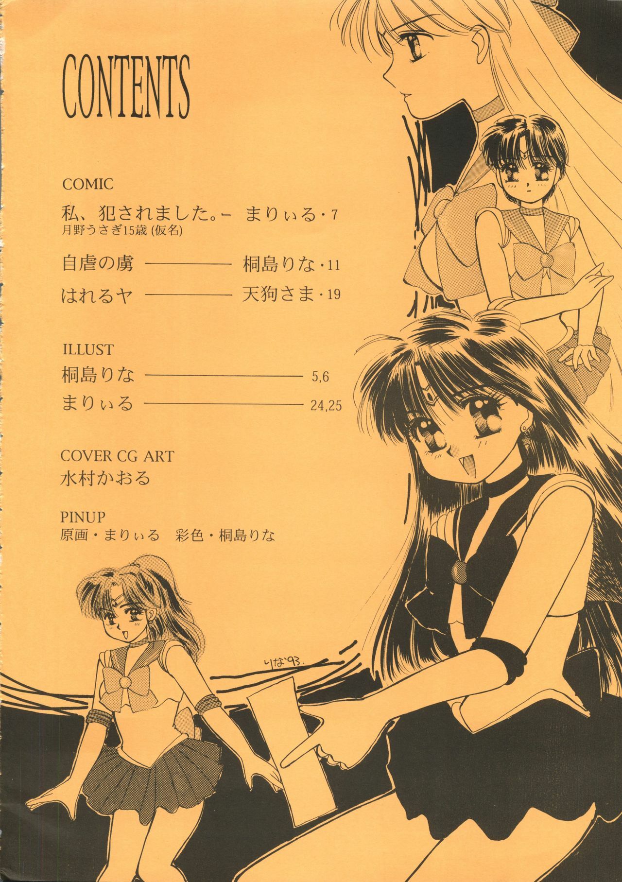 (C44) [D.D.GAPS (Various)] Gekkou (Bishoujo Senshi Sailor Moon) page 4 full