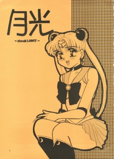 (C44) [D.D.GAPS (Various)] Gekkou (Bishoujo Senshi Sailor Moon) - page 3