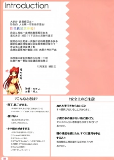 (C79) [TKSpower (Zekkyosyu)] Ore no Tama-nee ga Konna ni Eroi Wake ga nai (ToHeart 2) [Chinese] [漢化好沒] - page 2