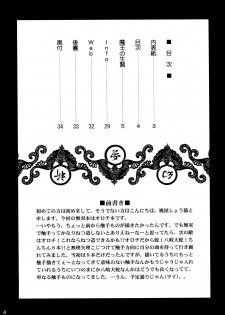 (C72) [U.R.C (Momoya Show-Neko)] Musou MOROCHIN (Musou OROCHI) - page 3