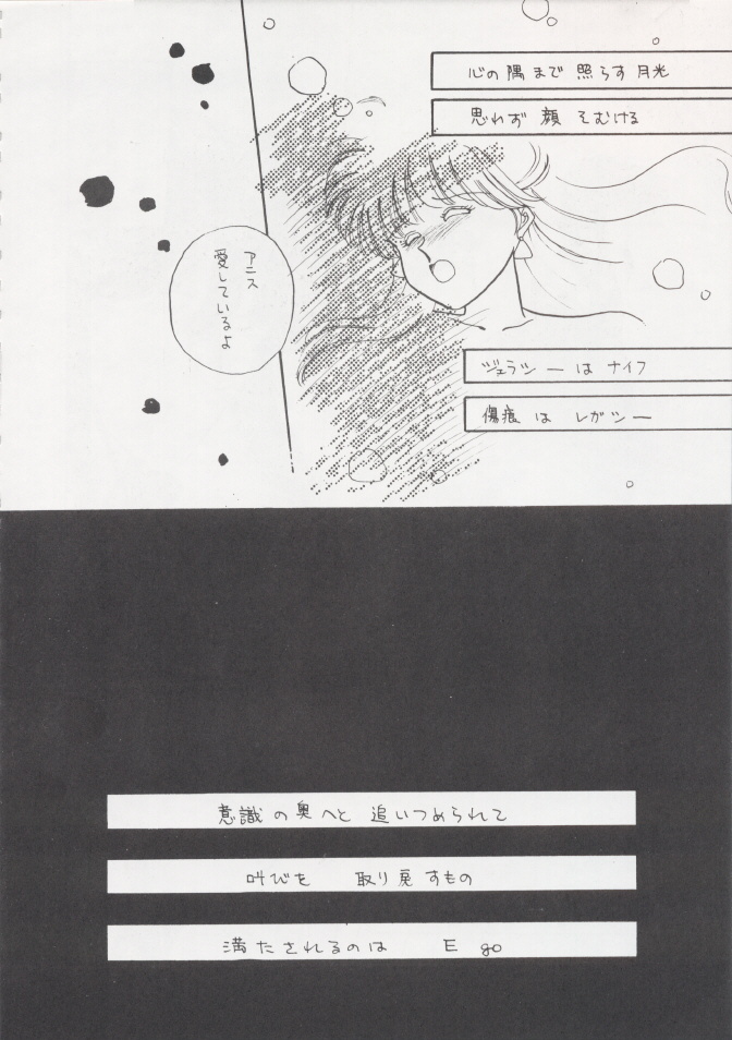 (C37) [Secret Society M (Kitahara Aki)] Anice 2 Gekkabijin (Sonic Soldier Borgman) page 49 full