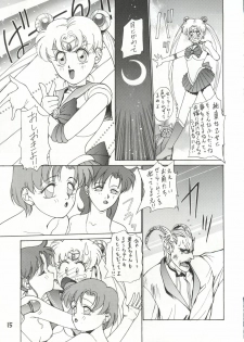 [Himitsu Kessha Tsuki to Yousei] Re-Flesh! (Sailor Moon) - page 15