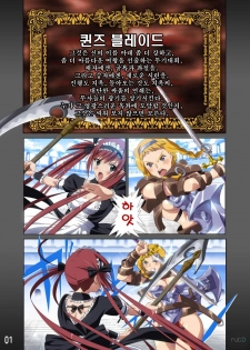 (C77) [SS-BRAIN (k3, Sumeragi Kou)] Loser's Knight COMIC edition Zenpen (Queen's Blade) (Korean) - page 2