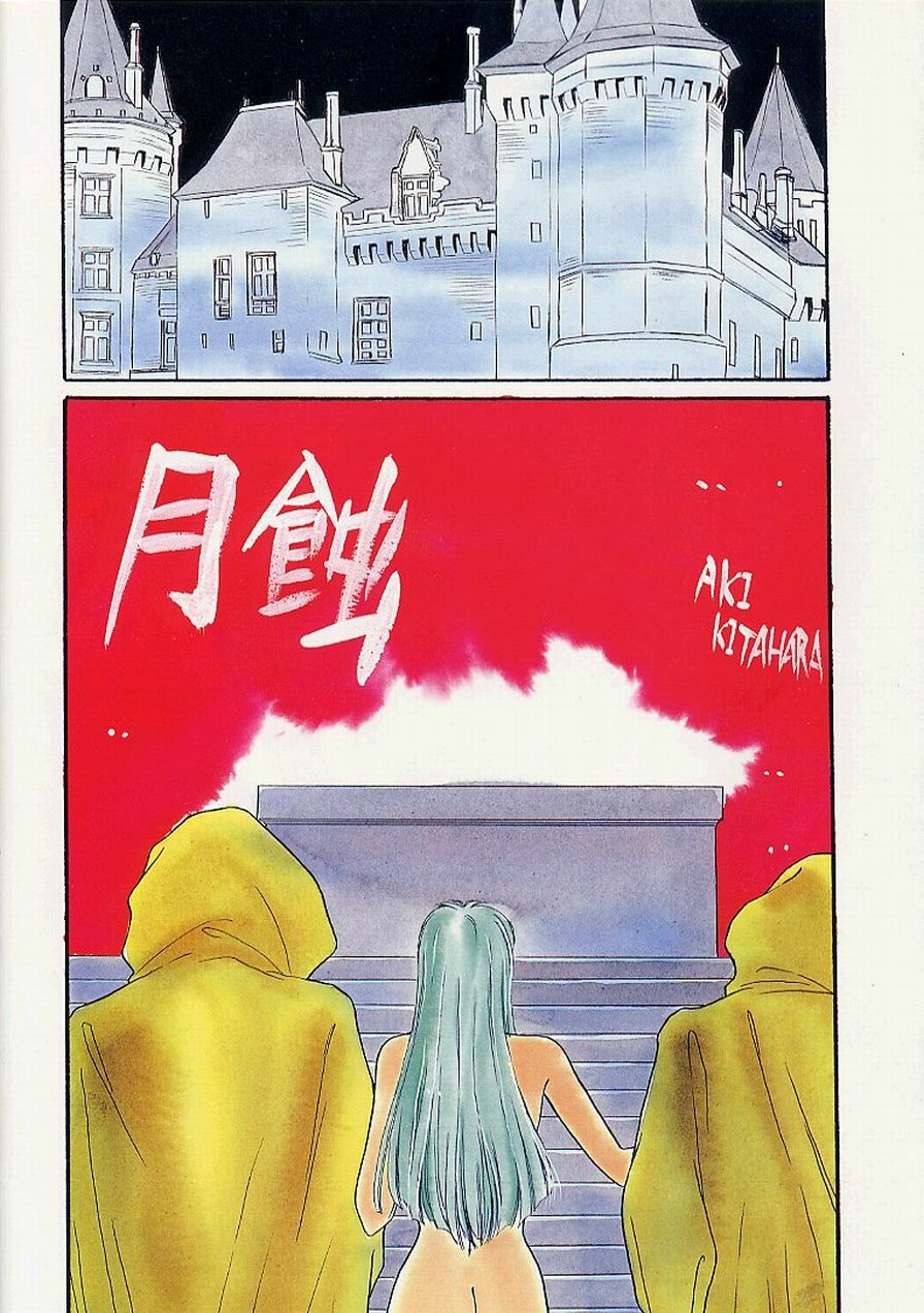 (C47) [Secret Society M (Kitahara Aki)] Gesshoku (Darkstalkers) page 3 full