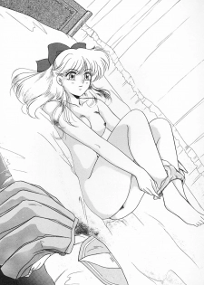 (C43) [Hime Club (Kirikaze)] Hime Club 6 (Sailor Moon) - page 20