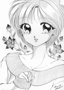 (C43) [Hime Club (Kirikaze)] Hime Club 6 (Sailor Moon) - page 36