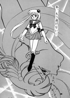 (CR13) [Hime Club (Various)] Hime Club 7 (Sailor Moon) - page 41