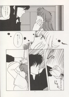 (C43) [Secret Society M (Kitahara Aki)] ANICE (Sonic Soldier Borgman) - page 10
