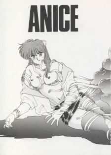 (C43) [Secret Society M (Kitahara Aki)] ANICE (Sonic Soldier Borgman) - page 2