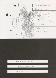 (C43) [Secret Society M (Kitahara Aki)] ANICE (Sonic Soldier Borgman) - page 31