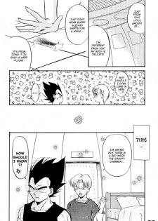 (C63) [Ryujin-kai (HITO Ribuki)] GIFT (Dragon Ball Z) [English] [Arigatomina] - page 19