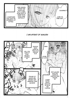 (C70) [Keumaya (Inoue Junichi)] Hyena 2 / Walpurgis no Yoru 2 (Fate/stay night) (English) =LWB= - page 3