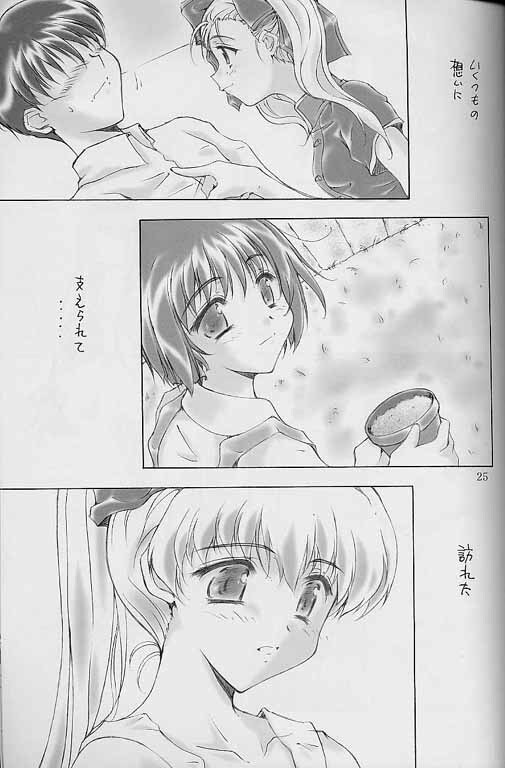 (C57) [Meisaku Network (Various)] i page 24 full