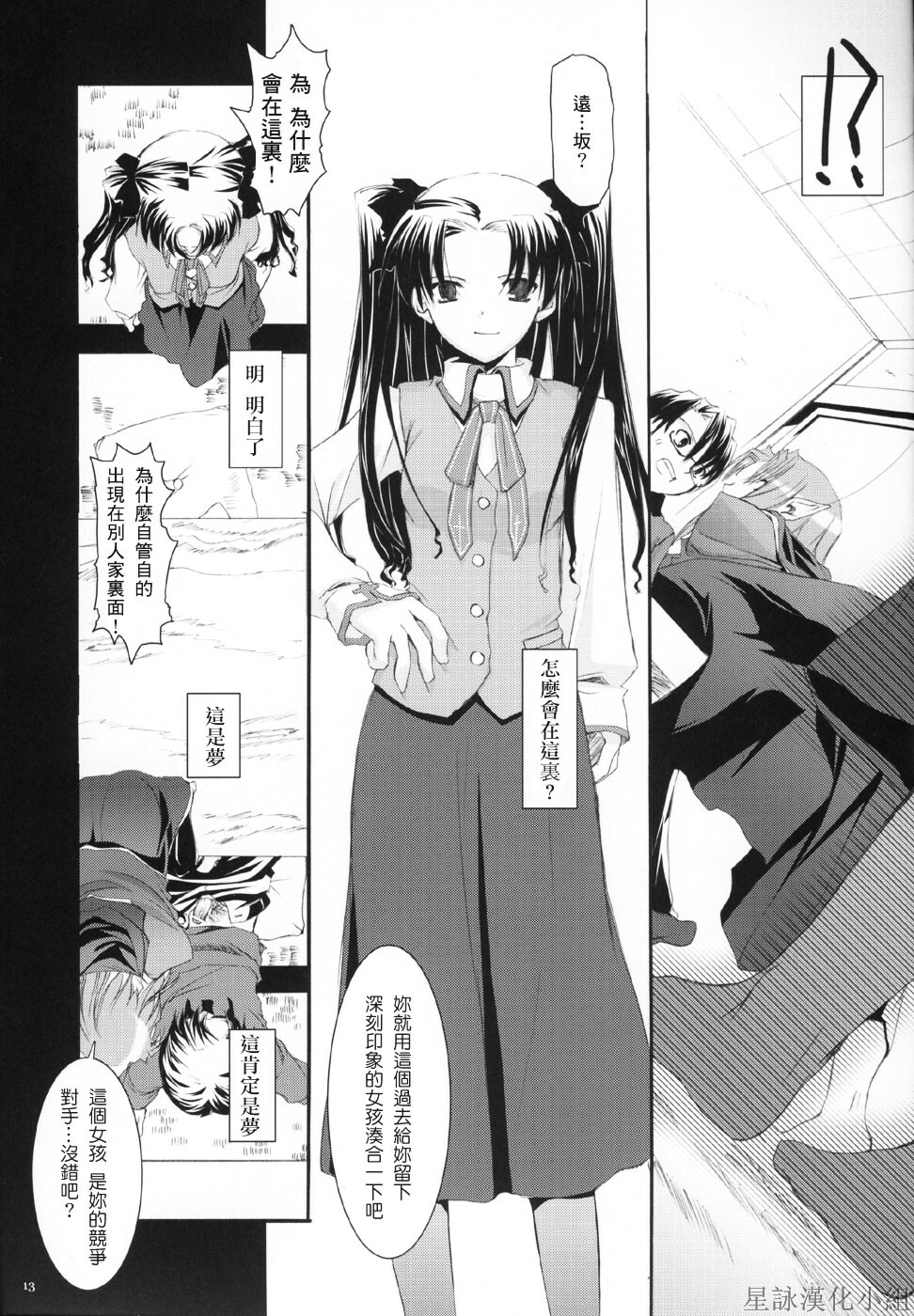 (CR36) [Digital Lover (Nakajima Yuka)] D.L. action 27 (Fate/stay night) [Chinese] [星詠漢化小組] page 12 full