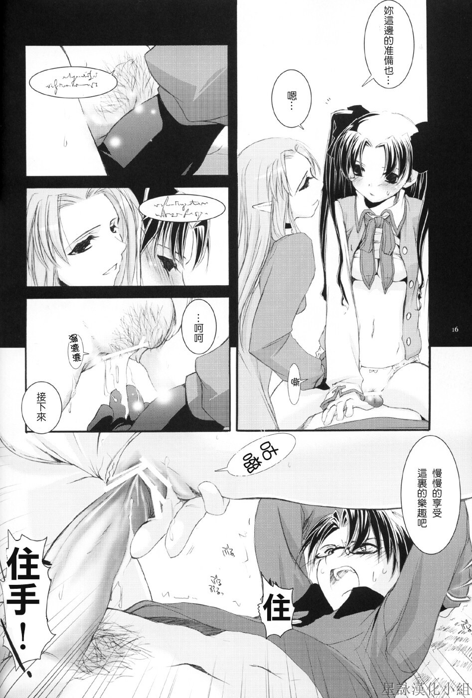 (CR36) [Digital Lover (Nakajima Yuka)] D.L. action 27 (Fate/stay night) [Chinese] [星詠漢化小組] page 15 full