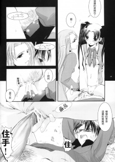 (CR36) [Digital Lover (Nakajima Yuka)] D.L. action 27 (Fate/stay night) [Chinese] [星詠漢化小組] - page 15